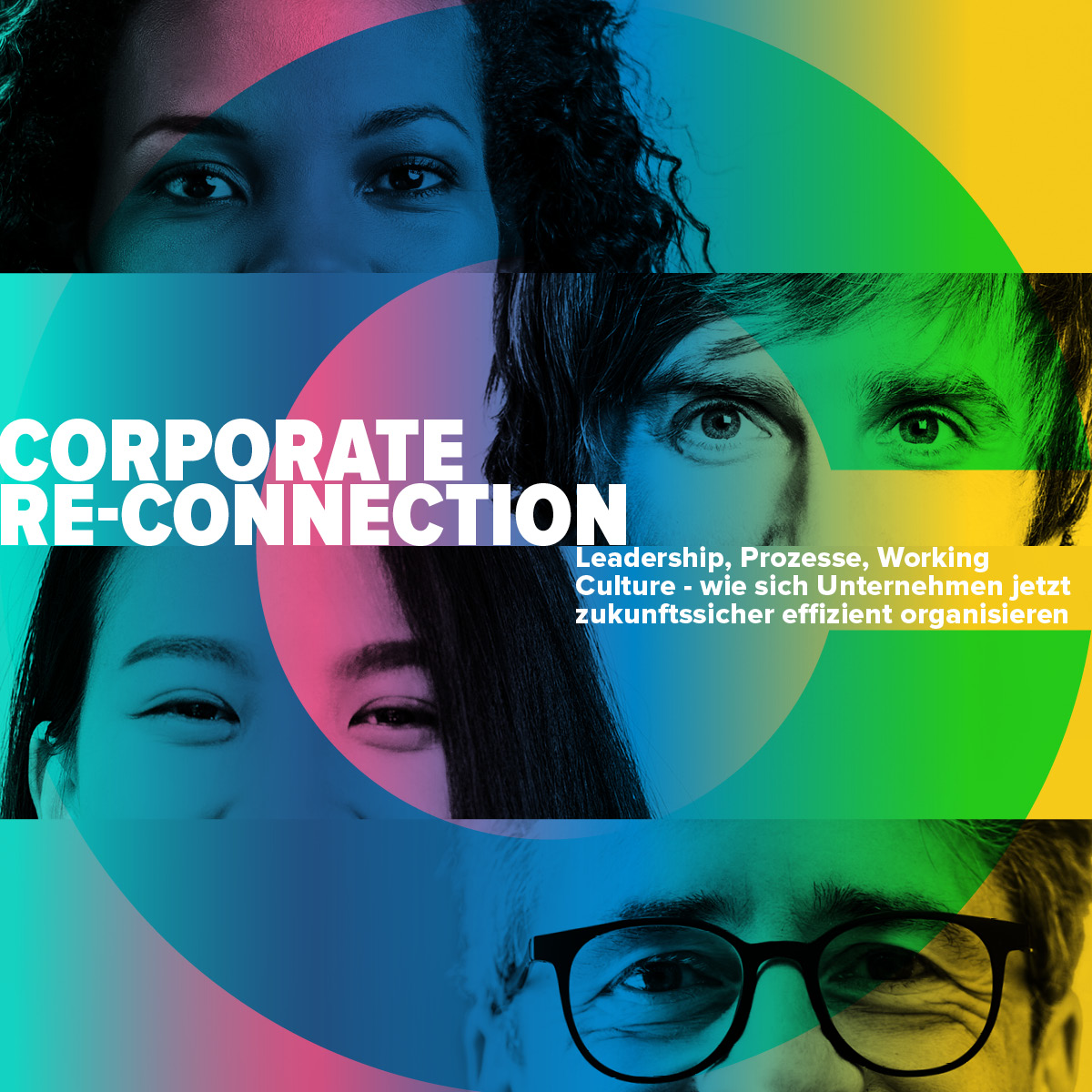 Corporate Re-Connection